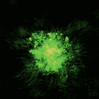 yizr art animation 3d trippy GIF