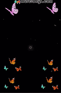 Sexy Radio GIF by Murcianys LLC