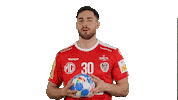 Handball_Austria boris aut ohb handballaustria Sticker