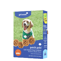 Cookie Sticker by Girl Scouts