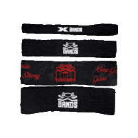 Fitness Workout Sticker by The X Bands