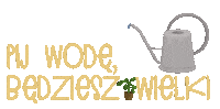Rosliny Konewka Sticker
