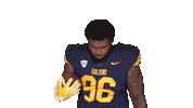 College Football Sticker by Toledo Rockets