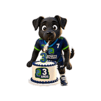 Volei Sticker by Colégio Américo Melo