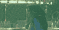 angry kate del castillo GIF by Telemundo