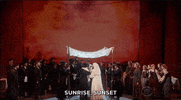 GIF by Tony Awards