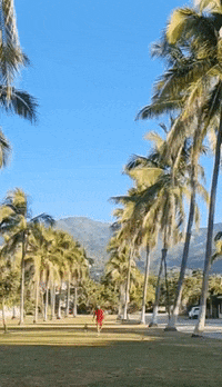 Cronopiocreativo  GIF