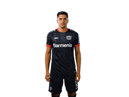 Bayer 04 Werkself GIF by Bayer 04 Leverkusen