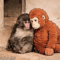 Baby Love GIF