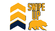 california win Sticker by Cal Athletics