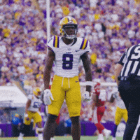 College Sports Football GIF by LSU Tigers