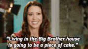 celebrity big brother shannon GIF