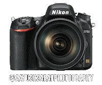 Nikoninstabadge D750 Sticker by NikonIndia