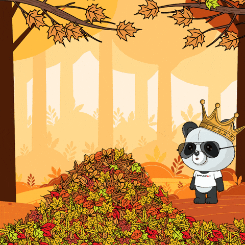 Happy Fall GIF by PandaPals