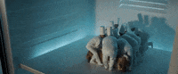 music video GIF by Katy Perry