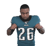 Philadelphia Eagles Football Sticker by NFL