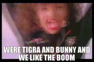 Cid73 tigra bunny boom GIF
