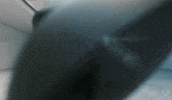 Video Games Rog GIF by Xbox