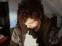 Cat Kiss GIF