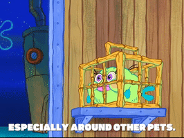season 7 keep bikini bottom beautiful GIF by SpongeBob SquarePants