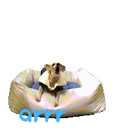 아르르 Sticker by arrr_official