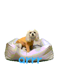 아르르 Sticker by arrr_official