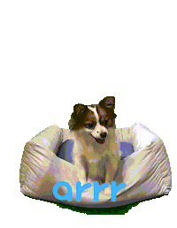 아르르 Sticker by arrr_official