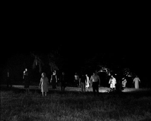 night of the living dead GIF by Maudit