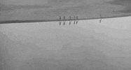 Film Beach GIF