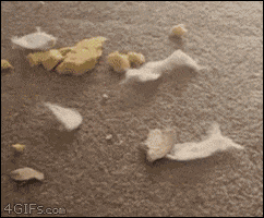 cushionsyou GIF