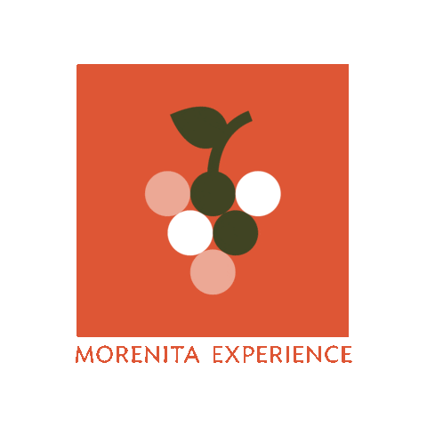 MorenitaExperience travel mexico wine trip Sticker