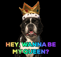 oscarfrenchienyc love romance queen king GIF