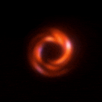 Black Hole Loop GIF by xponentialdesign