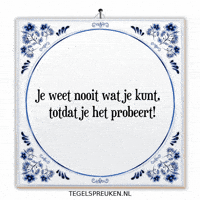 Humor Nl GIF by Tegelspreuken.nl