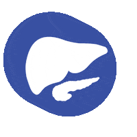 Surgery Pancreas Sticker by IRCAD France