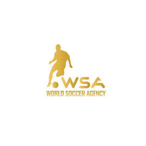 worldsocceragency giphyupload football lucci wsa Sticker