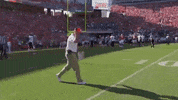 Go Tigers Yes GIF by Clemson Tigers
