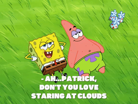 season 8 episode 10 GIF by SpongeBob SquarePants