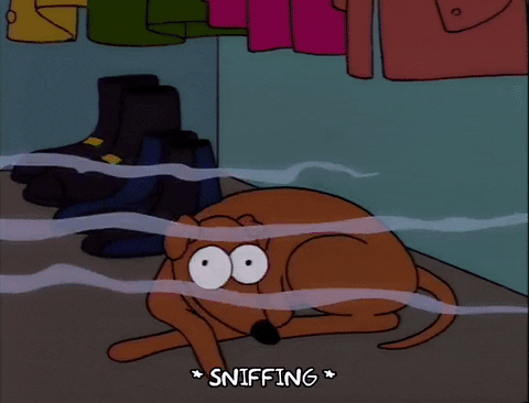 sniffing season 5 GIF