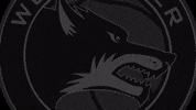 Happy Wolf Pack GIF by Worcester Wolves