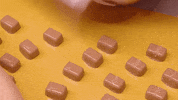 GIF by Fairtrade America