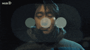 Park Chan-Wook Film GIF by MUBI