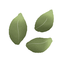 Farmers Market Vegan Sticker by Demic