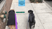 GIF by julia