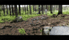 Video gif. Very fit man runs down a trail in a wooded area.