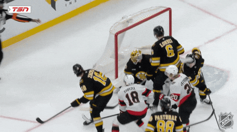 Happy Ottawa Senators GIF by NHL