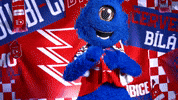 Hockeytown GIF by HC Dynamo Pardubice