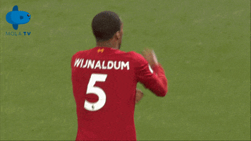 Premier League Liverpool GIF by MolaTV
