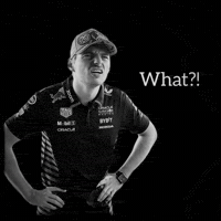 Formula 1 What GIF