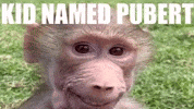 Pubert GIF
